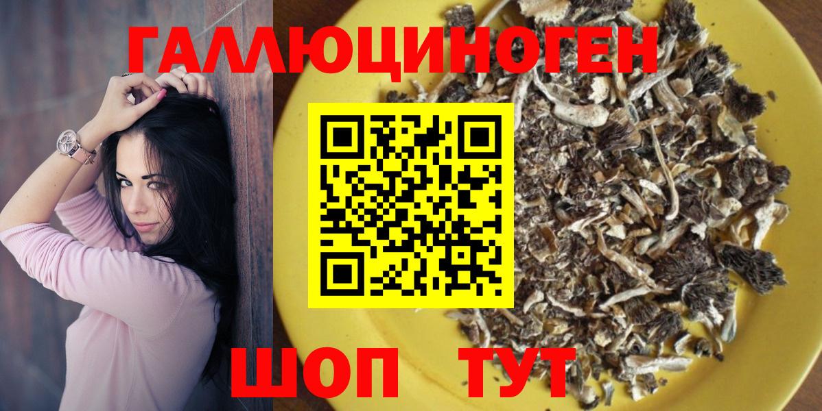 Галлюциногенные грибы MAGIC MUSHROOMS  Псилоцибиновые грибы Psilocybe  Вход с VPN  Ржев 