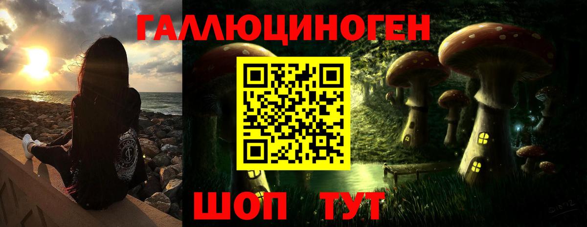 Псилоцибиновые грибы Psilocybine cubensis Ржев
